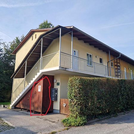 Apartamento Erholung Pur Nahe Krankenhaus & Uni Mit Parkplatz! Graz Exterior foto